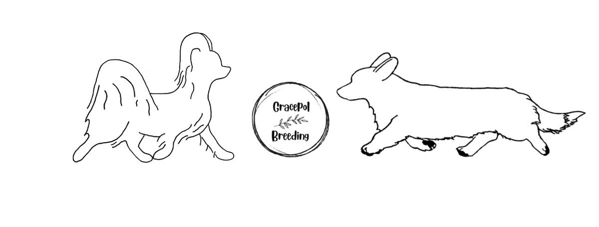 Gracepol Breeding